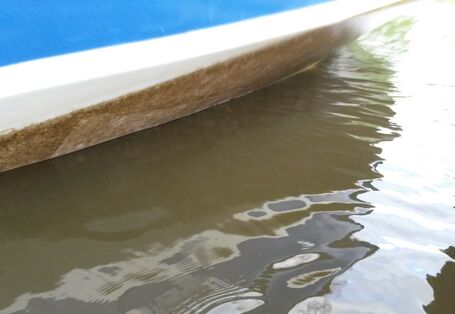 Bremen-Hasenbüren, Schwertzugvogel Hanseatenstern 2016, Biofilm vor der Fahrt
