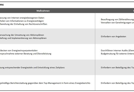Grafik Aufgabenbereiche eines Energie-Teams