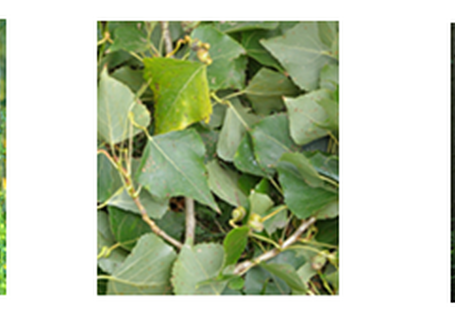 Umweltprobenbank Terrestrik 2018 - Foto