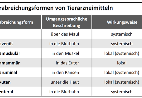Tabelle listet Verabreichungsformen, deren umgangssprachliche Beschreibung und Wirkungsweise auf.