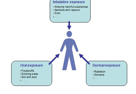 diagram presenting oral, dermal and inhalativ exposure to man