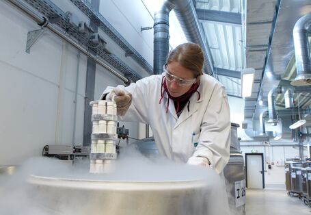 Umweltprobenbank: Eiskalt für Umwelt- und Gesundheitsschutz