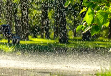 Platzregen in einer Parkanlage