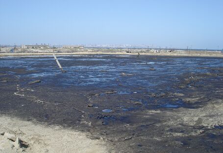 Feral depositions of waste from oil production