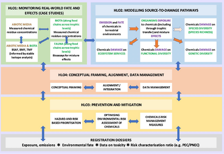 eine grafische Übersicht über die verschiedenen Arbeitspakete des Projektes
