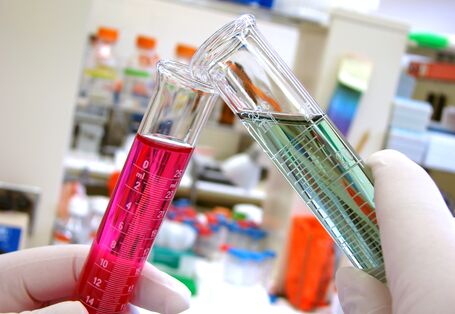 zwei Reagenzgläser mit verschiedenen Flüssigkeiten