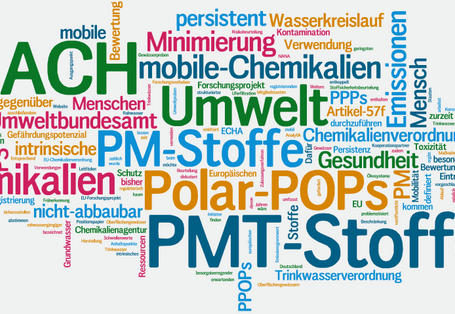 Visualisierung der Fachbegriffe rund um REACH und PMT-Stoffe als Wortwolke.