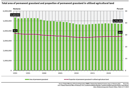 A graph shows the area of permanent grassland and its share of the total agricultural area from 1991 to 2024. Both indicators have been declining until 2013 and have then increased in the years that followed. Most recently, the values have stagnated. 