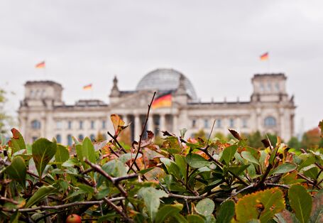 Reichstag unscharf im Hintergrund vor grünem Gebüsch