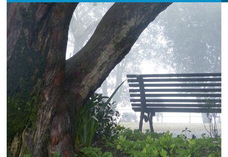 Cover von "Anpassung an den Klimawandel: Natur in der Stadt", Titelfoto: Parkbank unter einem alten Baum