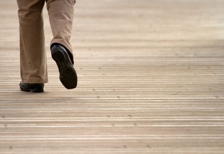 back legs on a street