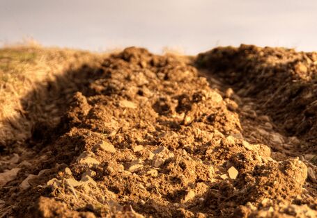 frisch bestellte Ackerfurche