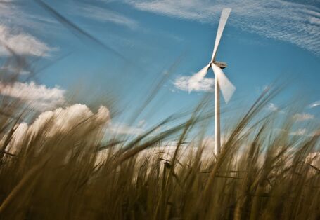 Kornfeld mit einem einzelnen Windenergierad
