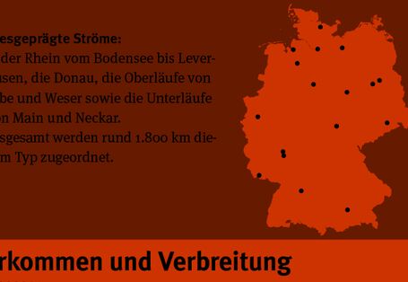 Karte die das Vorkommen in Deutschland von kiesgerägten Ströme aufzeigt.