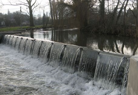 Die Wasserkraftanlage in Bad Sulza mit dem Wehr Bäume und Sträucher