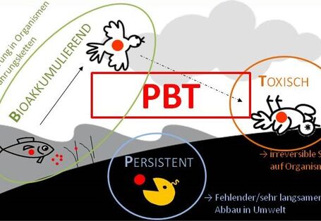 PBT Stoffe reagieren auf den Organismus tödlich