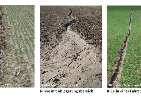 Photo of a collection of erosion forms along profiles