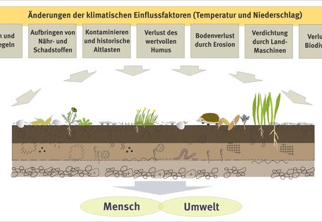 The graph shows exposures to soil.