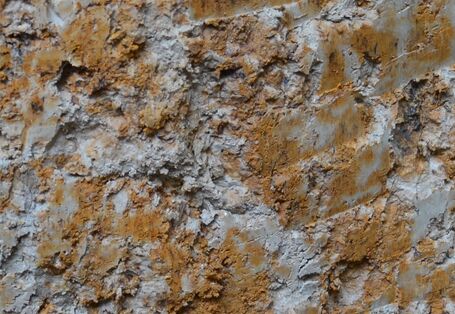 Detailfoto von gebleichten und rostfleckigen Bereichen im Bodenprofil