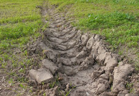 Foto von tiefen Fahrspur auf einem Acker.