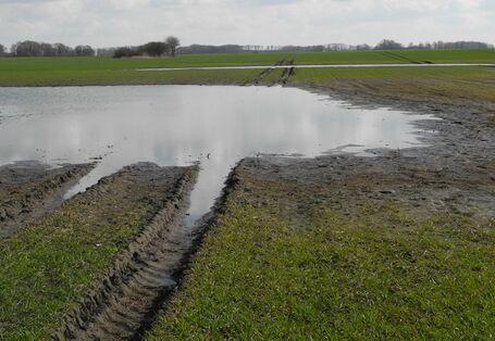 Eine tiefe Fahrspuhr auf einem Ackerboden mit oberflächlichem Stauwasser