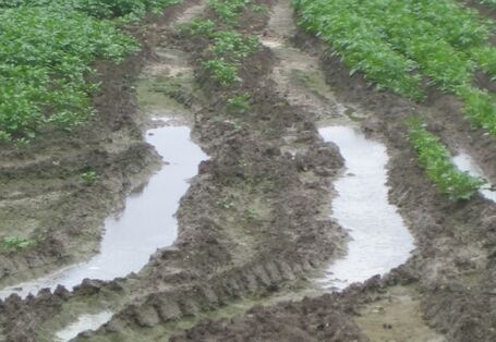 Foto mit tifen Spuren auf einem Acker