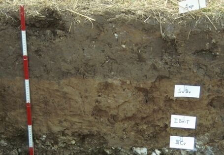 A soil profile with differently coloured layers of brown earth.