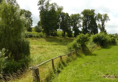 Wiesen und Bäume im hügeligen Gelände im Sommer mit der Station in einer Baumgruppe