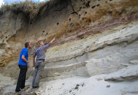 Eine Aufschlusswand in einer Sandgrube.