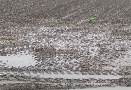 Foto mir Wasser auf einem Acker