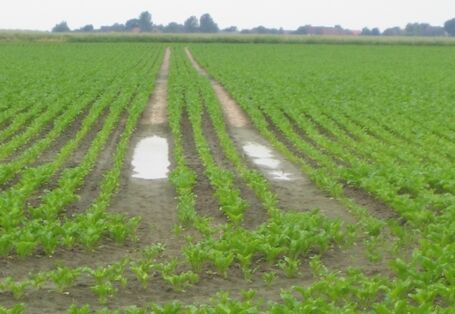 Foto mit Wasser in einer Bearbeitungsspur