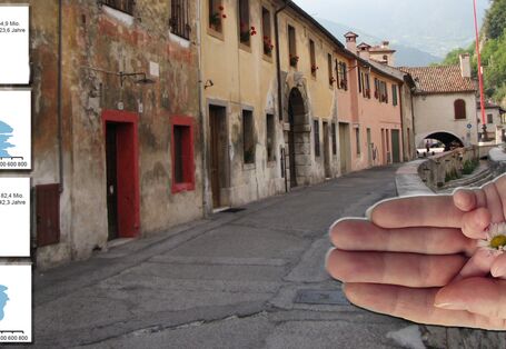 Demografischer Wandel und Raumentwicklung