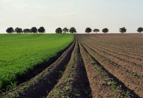 ungegliedertes Feld bis zum Horizont, Ackerfurchen in nacktem Boden