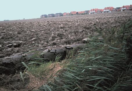 ein kahler, umgepflügter Acker, im Hintergrund ein Neubaugebiet