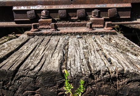 alte Holz-Bahnschwelle mit tiefen Rissen