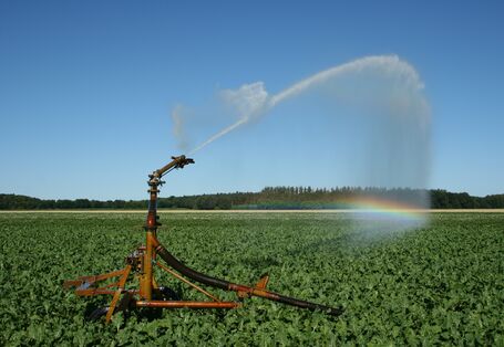 irrigation of a field
