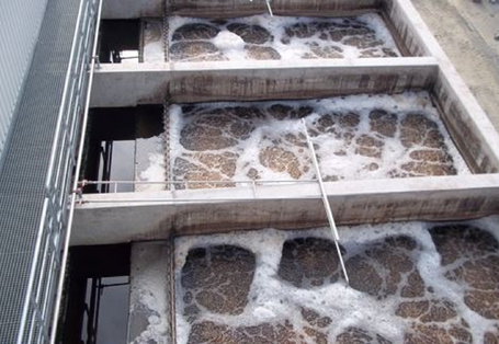 eine Reihe Betonbecken mit schmutzigen, aufgeschäumten Wasser