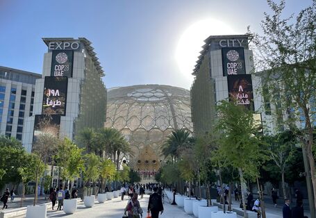 Menschen streben dem Eingang eines modernen Gebäudes mit der Aufschrift Expo City COP 28 UAE zu, auf der Straße sind Bäume in Kübeln als Allee aufgestellt