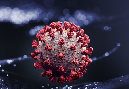 das neuartige Coronavirus