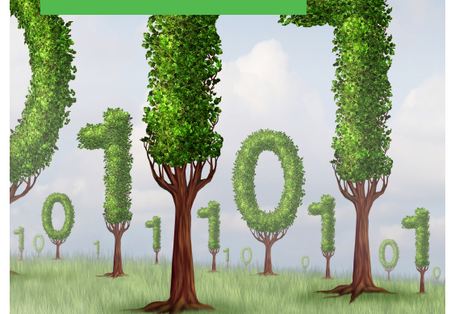 cover of the brochure "Shaping sustainable digitisation" in chinese language