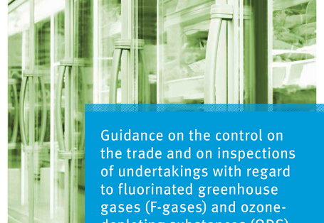 Titelbild Guidance on the control on the trade and on inspections of undertakings 