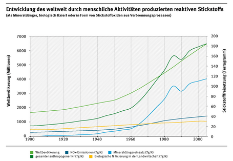 Die Kurven "Weltbevölkerung", "gesamter anthropogener Nr (Tg N) und "Mineraldüngereinsatz (Tg N) steigen seit dem Jahr 1960 stark an. Die Kurven "NOx-Emissionen (Tg N)" und "Biologische Fixierung in der Landwirtschaft (Tg N)" steigen nur leicht.