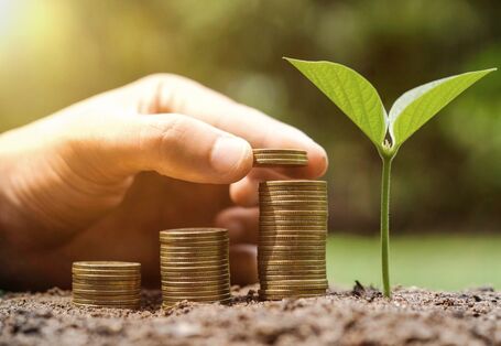 neben einer kürzlich gekeimten Pflanze stapelt eine Hand Geldmünzen