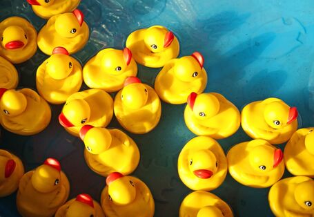 rubber ducks