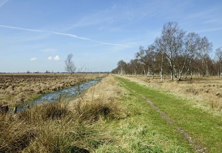 Entwässerungsgraben durch ein Moor