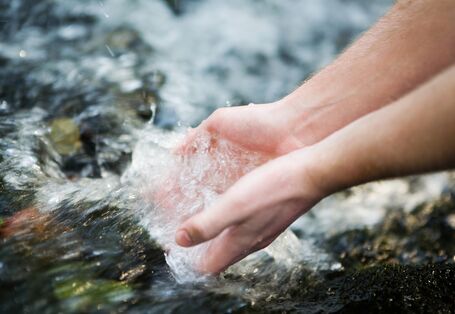 ein Mensch hält seine Hände in einen Bach mit klarem Wasser