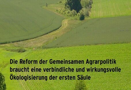 Cover der Publikation "Die Reform der Gemeinsamen Agrarpolitik braucht eine verbindliche und wirkungsvolle Ökologisierung der ersten Säule" mit Foto einer Landschaft