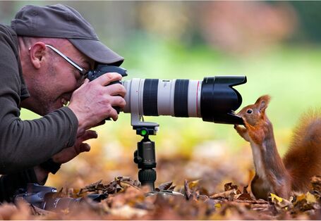 ein Eichhörnchen schaut in das Objektiv eines Fotografen, der sich mit seiner Fotoausrüstung auf den Boden gelegt hat, um zu fotografieren