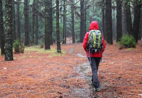Wanderer mit einer roten Regenjacke und einem Rucksack läuft durch einen Wald bei Regen