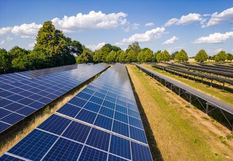 Schräg aufgeständerte Reihen Photovoltaikmodule auf einer Wiese in der freien Landschaft
